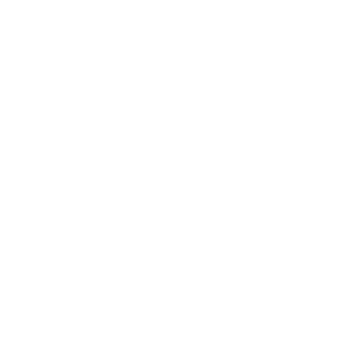 cropped-CHYBERRPORT-LOGO-ICO-WHITE.png